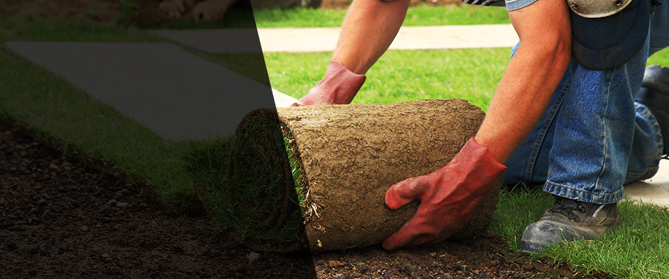 Carlstadt Landscapers